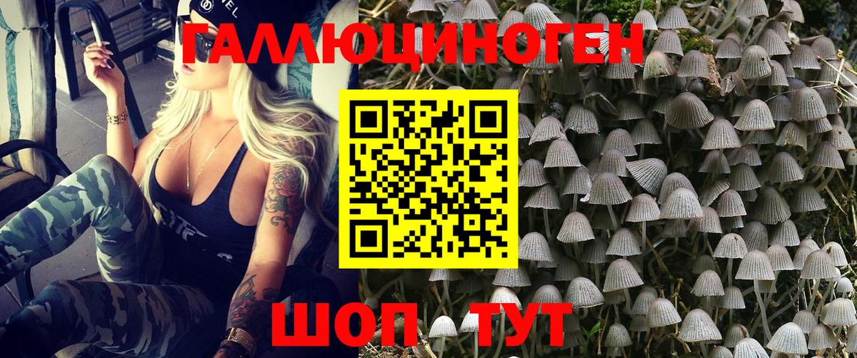 Галлюциногенные грибы MAGIC MUSHROOMS  Вход с VPN  Владикавказ 